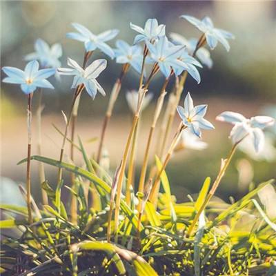 娱乐宝官网app下载